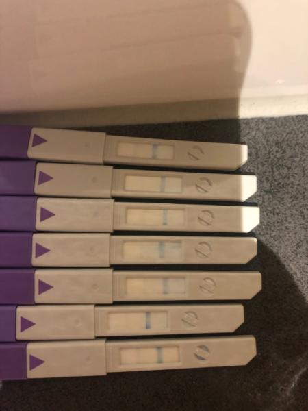 Bild zu Ovulationstest Clearblue lila Erfahrungen - Kinderwunsch - bitte noch ein Baby