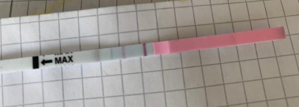 Bild zu Ovu ES+3/4 oder ES+8 ?? - Kinderwunsch - bitte noch ein Baby