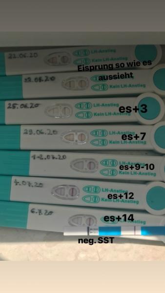 Bild zu ovulationstest/Orakel - Kinderwunsch - bitte noch ein Baby