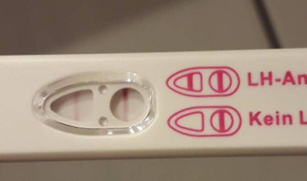 Bild zu Ovu Hilfe!!! - Kinderwunsch - bitte noch ein Baby