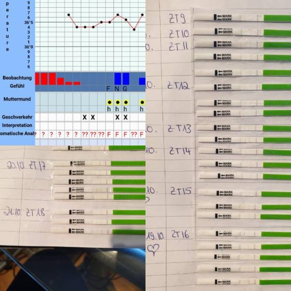 Bild zu Hilfe mit Ovulationstest - Kinderwunsch - bitte noch ein Baby