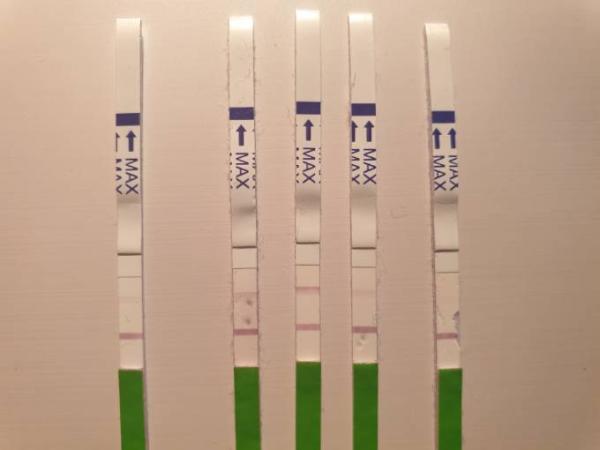 Bild zu Ovulationstest - Kinderwunsch - bitte noch ein Baby
