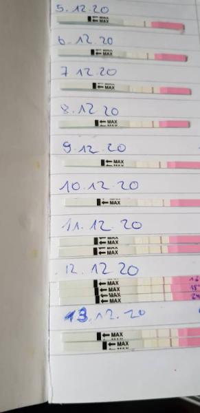 Bild zu OvuTest +SSTest Erfahrungen (KTX7) - Kinderwunsch - bitte noch ein Baby