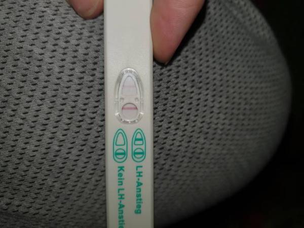 Bild zu Hilfe - Kinderwunsch - bitte noch ein Baby