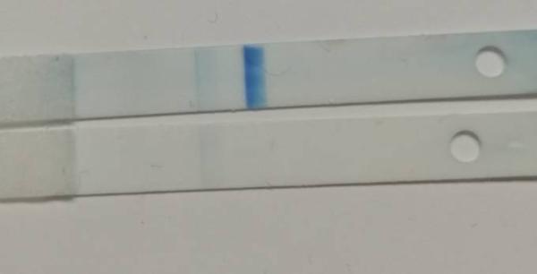 Bild zu Clearblue mit Wochenbestimmung - Kinderwunsch - bitte noch ein Baby