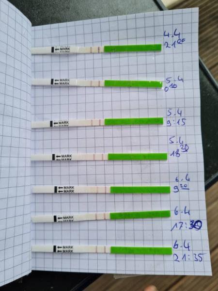 Bild zu 