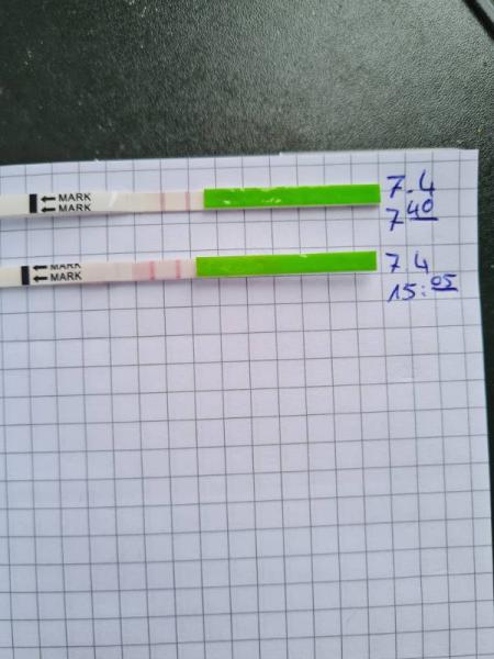 Bild zu 