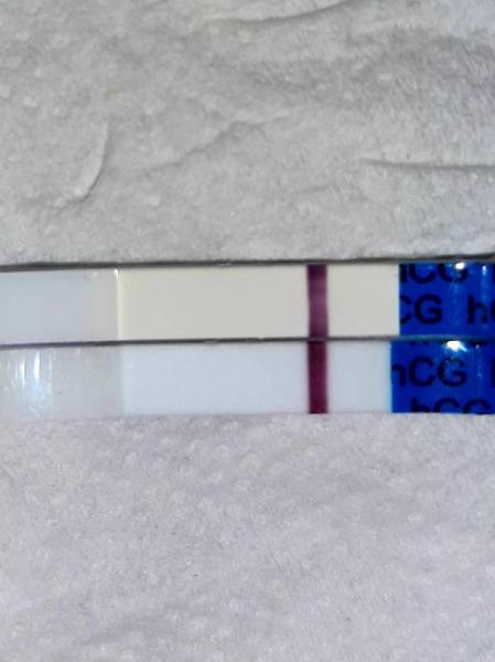 Bild zu Blauer One Step Test mit HCG Aufschrift - Kinderwunsch - bitte noch ein Baby