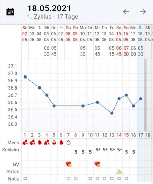 Bild zu Brauche Hilfe bei Zyklusauswertung - Kinderwunsch - bitte noch ein Baby
