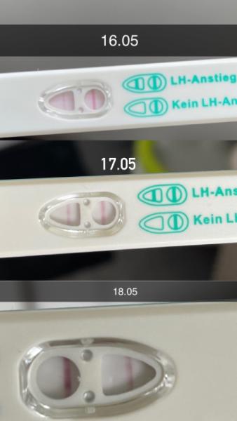 Bild zu Ovulationstest - Meinung gefragt - Kinderwunsch - bitte noch ein Baby