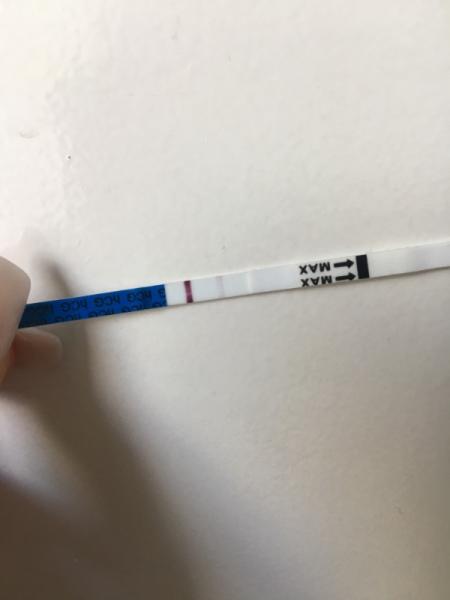 Bild zu Es+11 Update - Kinderwunsch - bitte noch ein Baby
