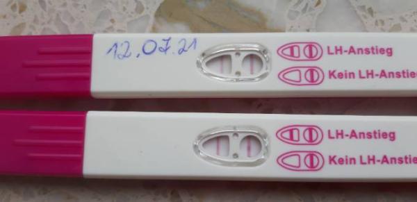 Bild zu Ovulationstest postiv oder geht da noch - Kinderwunsch - bitte noch ein Baby