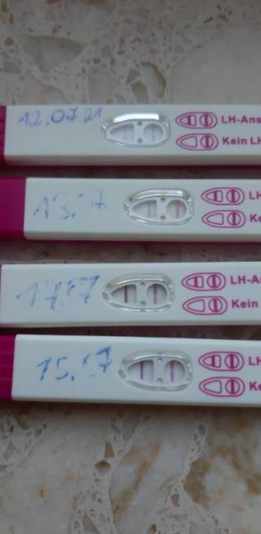 Bild zu Ovulationstest wann postiv und reicht es auch 2 tage vorher Eisprung - Kinderwunsch - bitte noch ein Baby