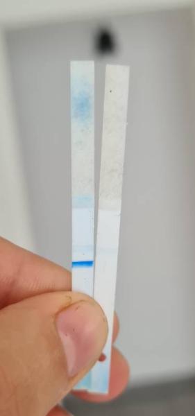 Bild zu Clearblue Digital wichenbestimmung - Kinderwunsch - bitte noch ein Baby