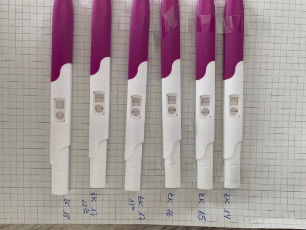 Bild zu Eisprung / Einnistung - Kinderwunsch - bitte noch ein Baby