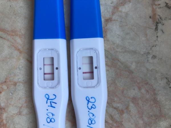 Bild zu Schwanger werden - Kinderwunsch - bitte noch ein Baby
