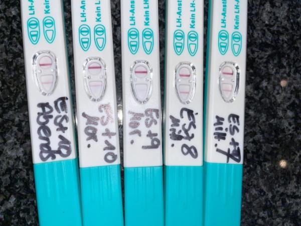 Bild zu Orakeln mit Ovus - Kinderwunsch - bitte noch ein Baby