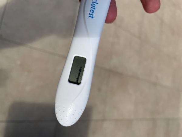 Bild zu Schwanger oder nicht? - Kinderwunsch - bitte noch ein Baby
