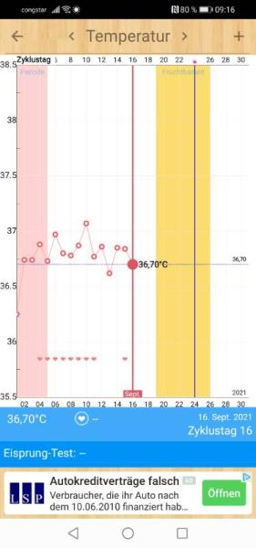 Bild zu Temperatur - Kinderwunsch - bitte noch ein Baby
