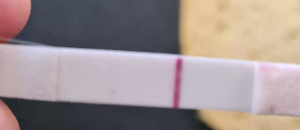 Bild zu Presense es+8 - Kinderwunsch - bitte noch ein Baby