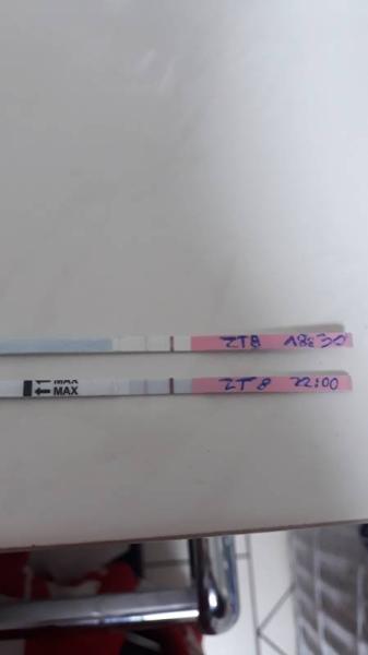 Bild zu Pille abgesetzt- ovulationstest David - Kinderwunsch - bitte noch ein Baby