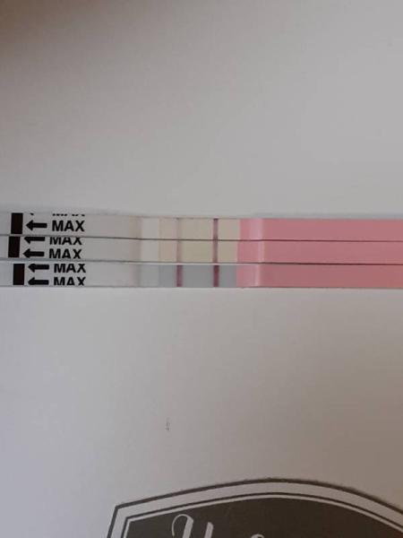 Bild zu ES+11 Ovu fett positiv Ss Test negativ? - Kinderwunsch - bitte noch ein Baby