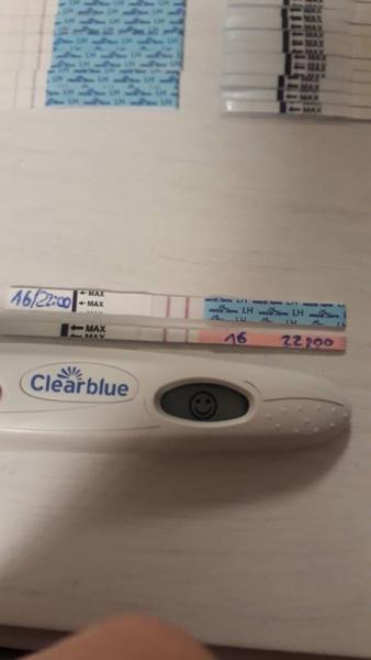 Bild zu Ovu clearblue Abends positiv, wann Es+1? - Kinderwunsch - bitte noch ein Baby