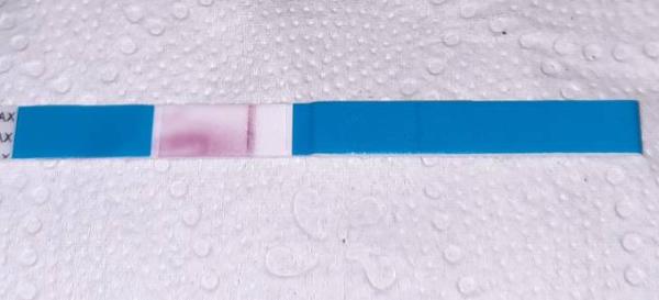 Bild zu Test ungültig? Verschwommen? - Kinderwunsch - bitte noch ein Baby