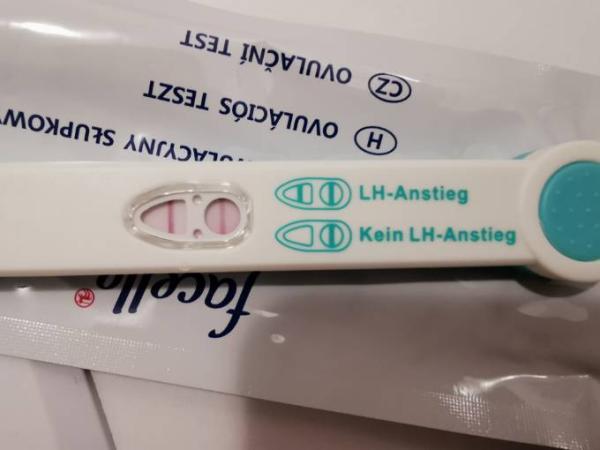 Bild zu Ovulationstest, MA - Kinderwunsch - bitte noch ein Baby