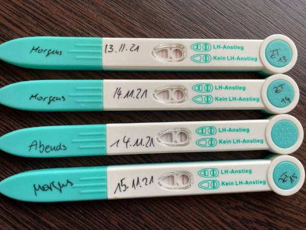 Bild zu Ovulationstests von Rossmann - Kinderwunsch - bitte noch ein Baby