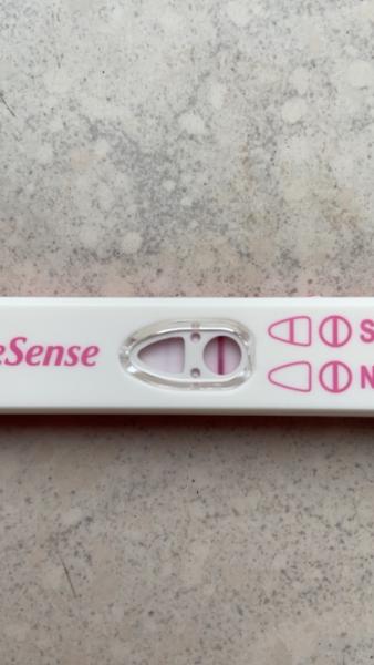 Bild zu Presense - Kinderwunsch - bitte noch ein Baby