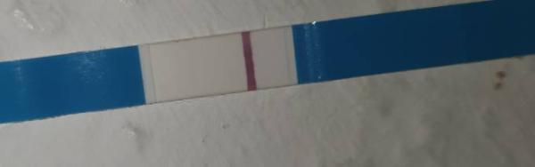 Bild zu Facelle 10er test von Rossmann Hauch zarte Linie - Kinderwunsch - bitte noch ein Baby
