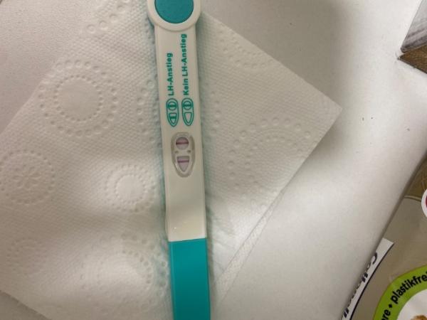 Bild zu Ovulationstest bestimmen - Kinderwunsch - bitte noch ein Baby