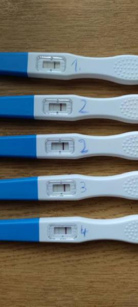 Bild zu Obalationstest - Kinderwunsch - bitte noch ein Baby