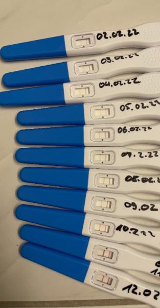 Bild zu Ovulationtest Auswertung - Kinderwunsch - bitte noch ein Baby