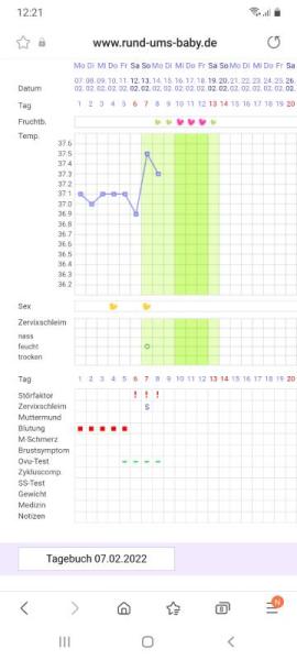 Bild zu Basaltemperatur und Ovulationstest - Kinderwunsch - bitte noch ein Baby