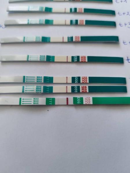 Bild zu Transfer+7 Blutung und positiver Test - Kinderwunsch - bitte noch ein Baby