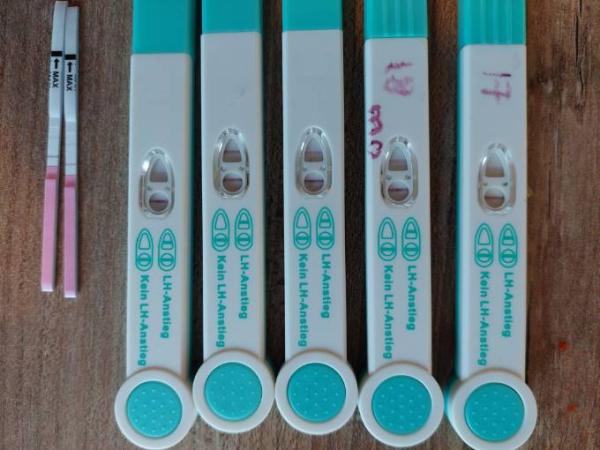 Bild zu Ovulationstest - Kinderwunsch - bitte noch ein Baby