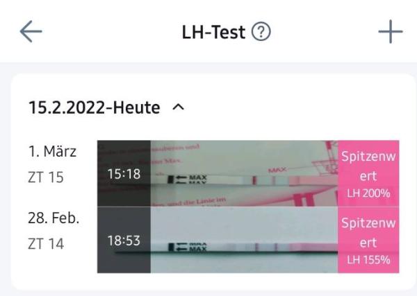 Bild zu Ovulationstest/ erster Clomizyklus HILFE - Kinderwunsch - bitte noch ein Baby