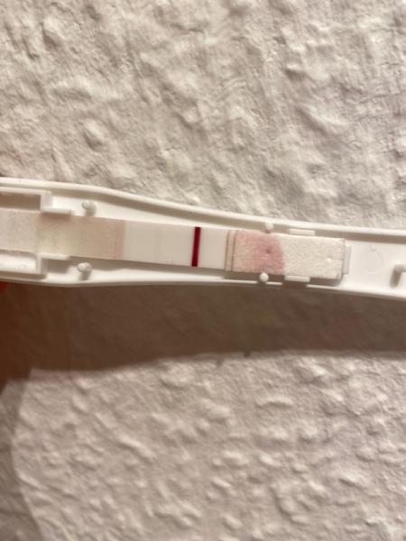 Bild zu Morgentest - kann es wirklich sein ? - Kinderwunsch - bitte noch ein Baby