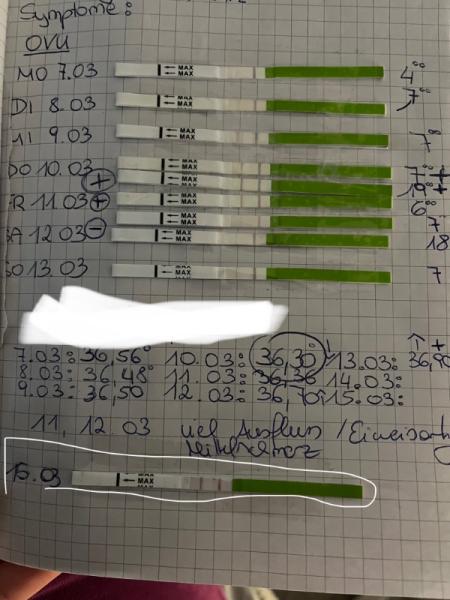 Bild zu Ovu nach ES+4 positiv - Kinderwunsch - bitte noch ein Baby
