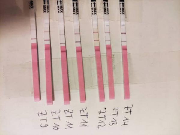 Bild zu Ovulationstest ab wann positiv, Foto - Kinderwunsch - bitte noch ein Baby