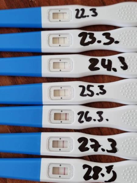 Bild zu Ovuorakel - Kinderwunsch - bitte noch ein Baby