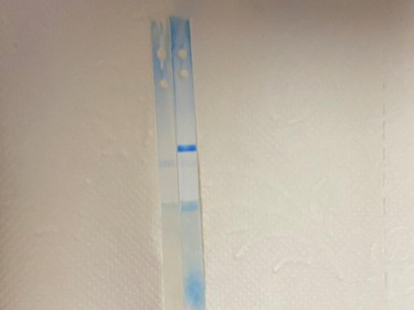 Bild zu Clearblue mit wochenbestimmung auseinander gebaut - Kinderwunsch - bitte noch ein Baby