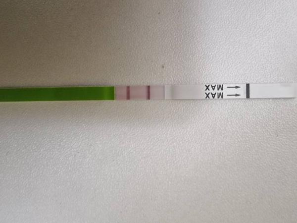 Bild zu Ovu test +/- - Kinderwunsch - bitte noch ein Baby