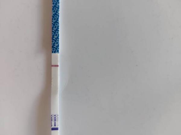 Bild zu Ein hauch einer linie oder nichts? - Kinderwunsch - bitte noch ein Baby
