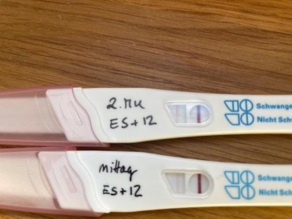 Bild zu Utrogest auf eigene Faust - Kinderwunsch - bitte noch ein Baby