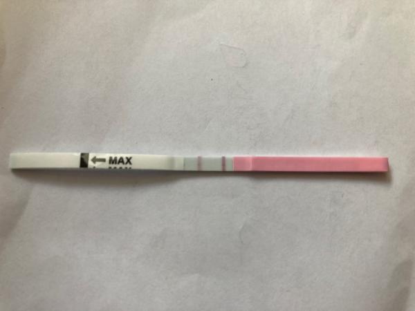 Bild zu Ovulationstestneuling nach FG - Kinderwunsch - bitte noch ein Baby