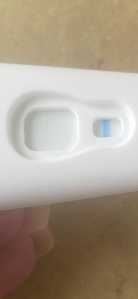 Bild zu Clearblue Frühtest positiv oder negativ? - Kinderwunsch - bitte noch ein Baby
