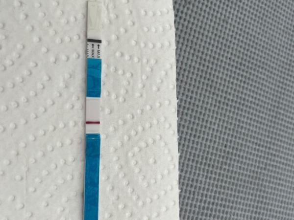 Bild zu Schaut mal bitte auf meinen Test - Kinderwunsch - bitte noch ein Baby